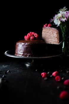 Chocolate cake with raspberries free stock photo