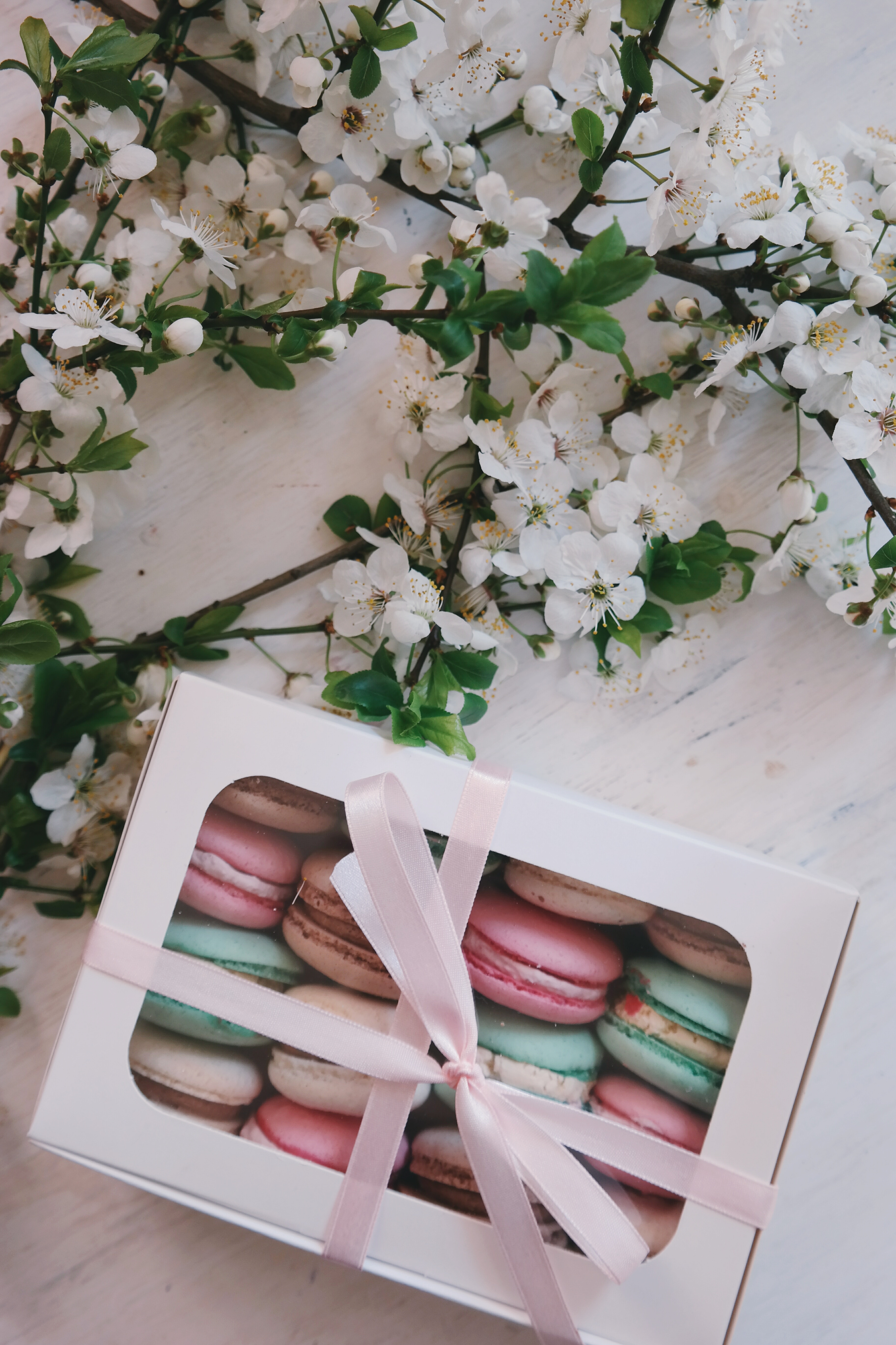 Macaron, cakes, cherry blossom tree free stock photo