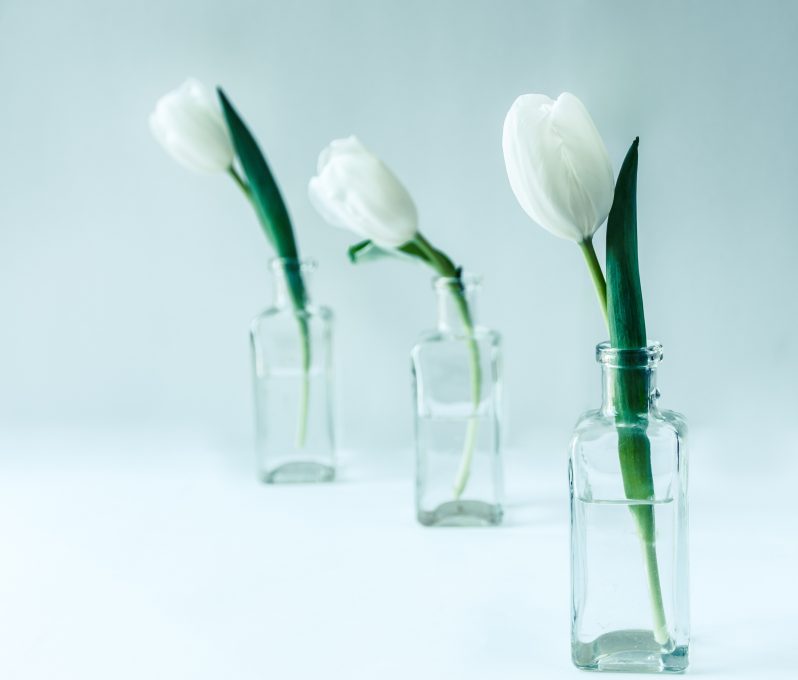 Three white flowers in clear glass bottles