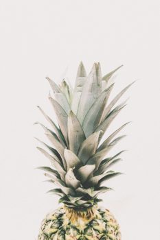Photography of a pineapple