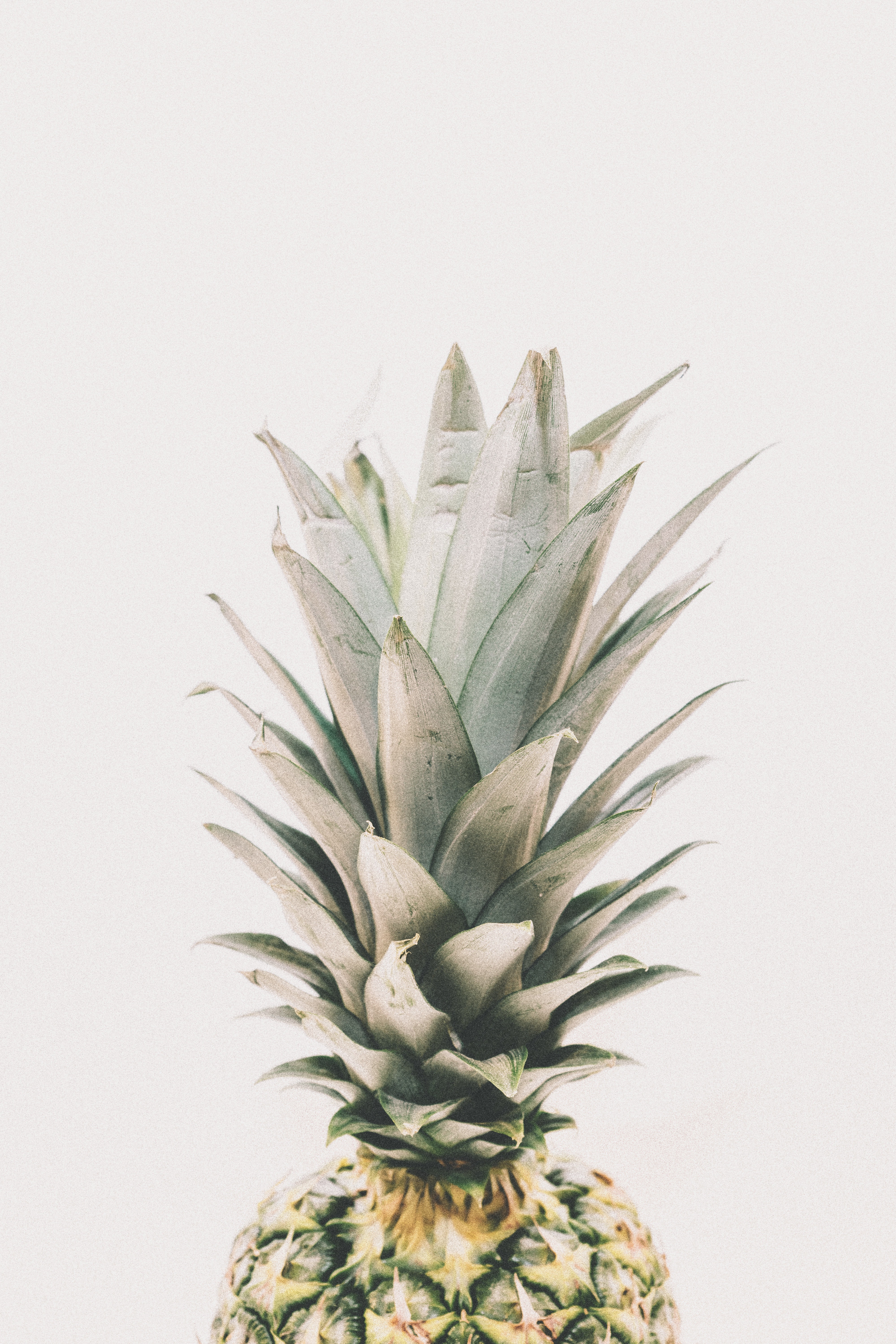 Photography of a pineapple