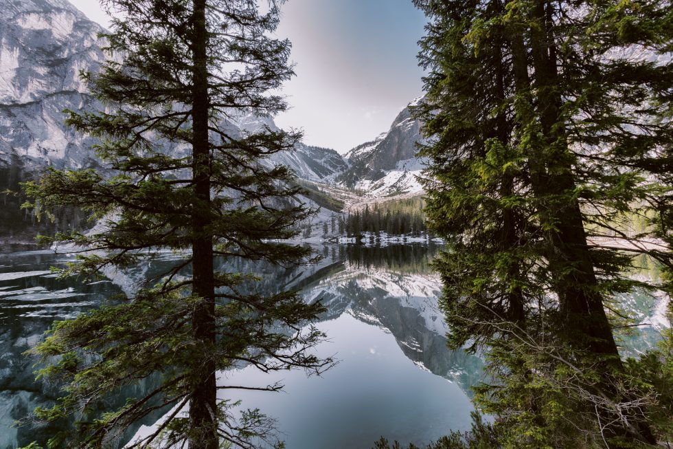 Pines near a body of water and mountain under white skies