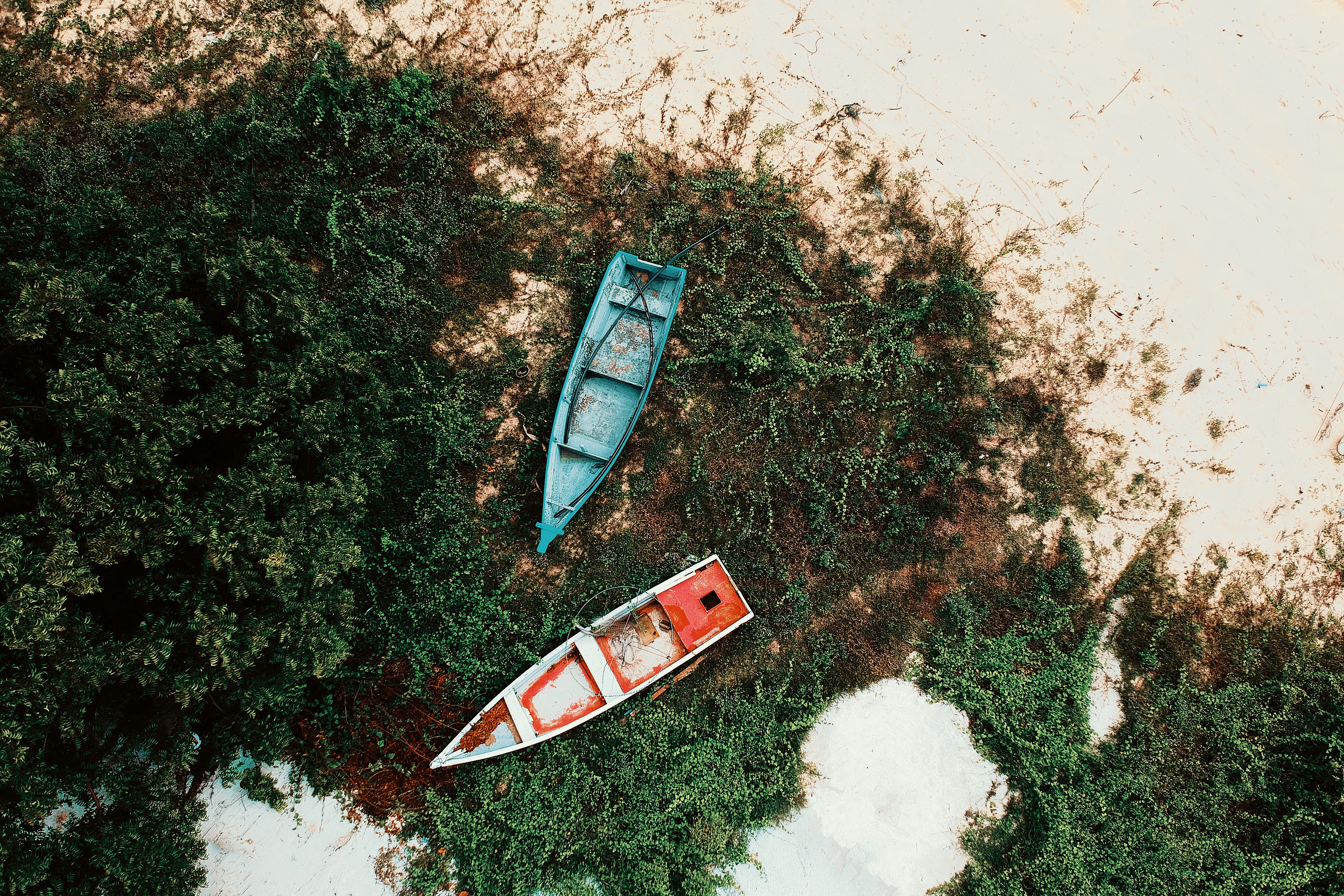 Top view of red and blue boats placed on grass growing on a sandy shore