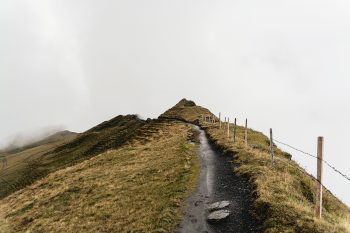 A pathway on top of a foggy green mountain