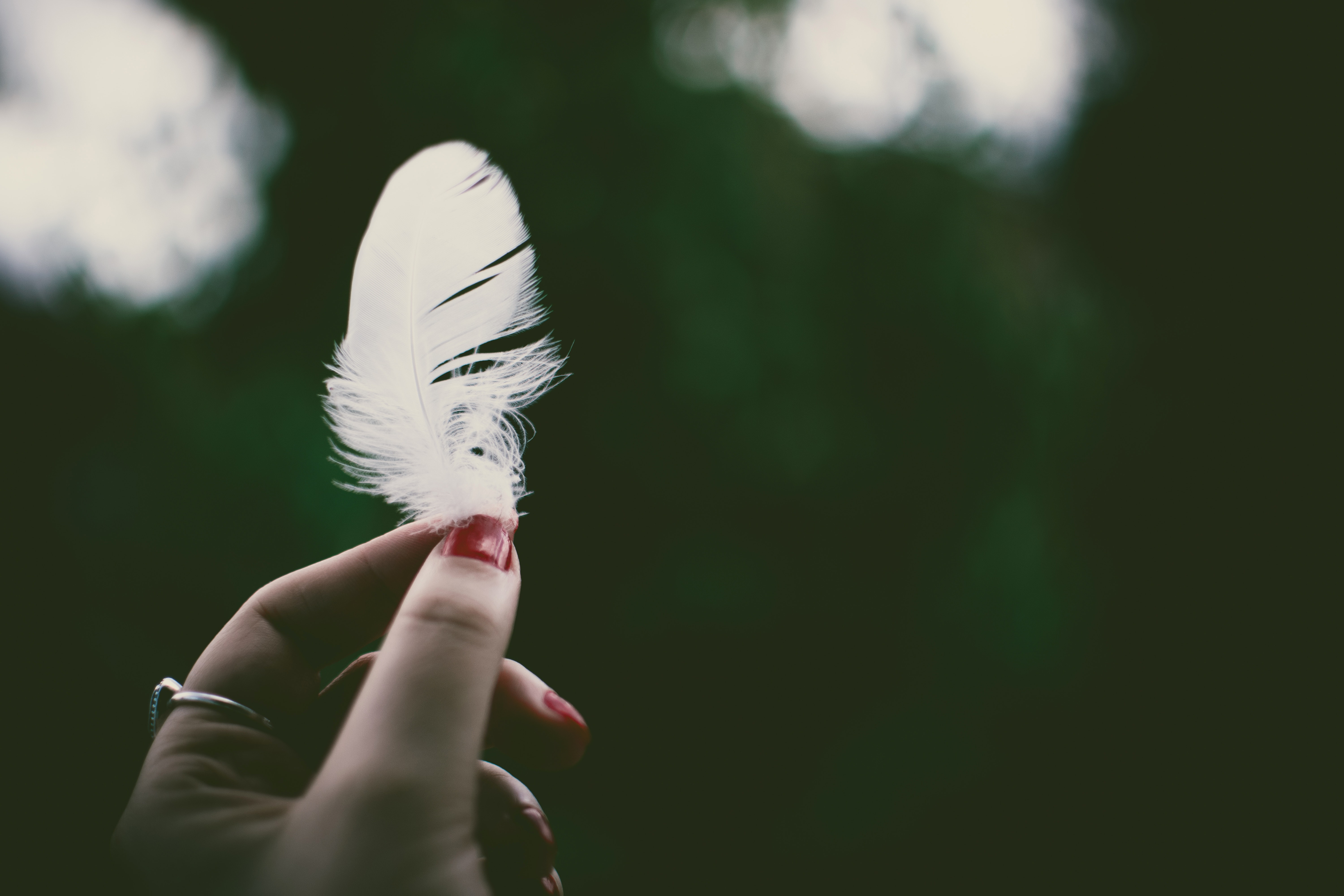 A person holding a white feather in a selective focus photography
