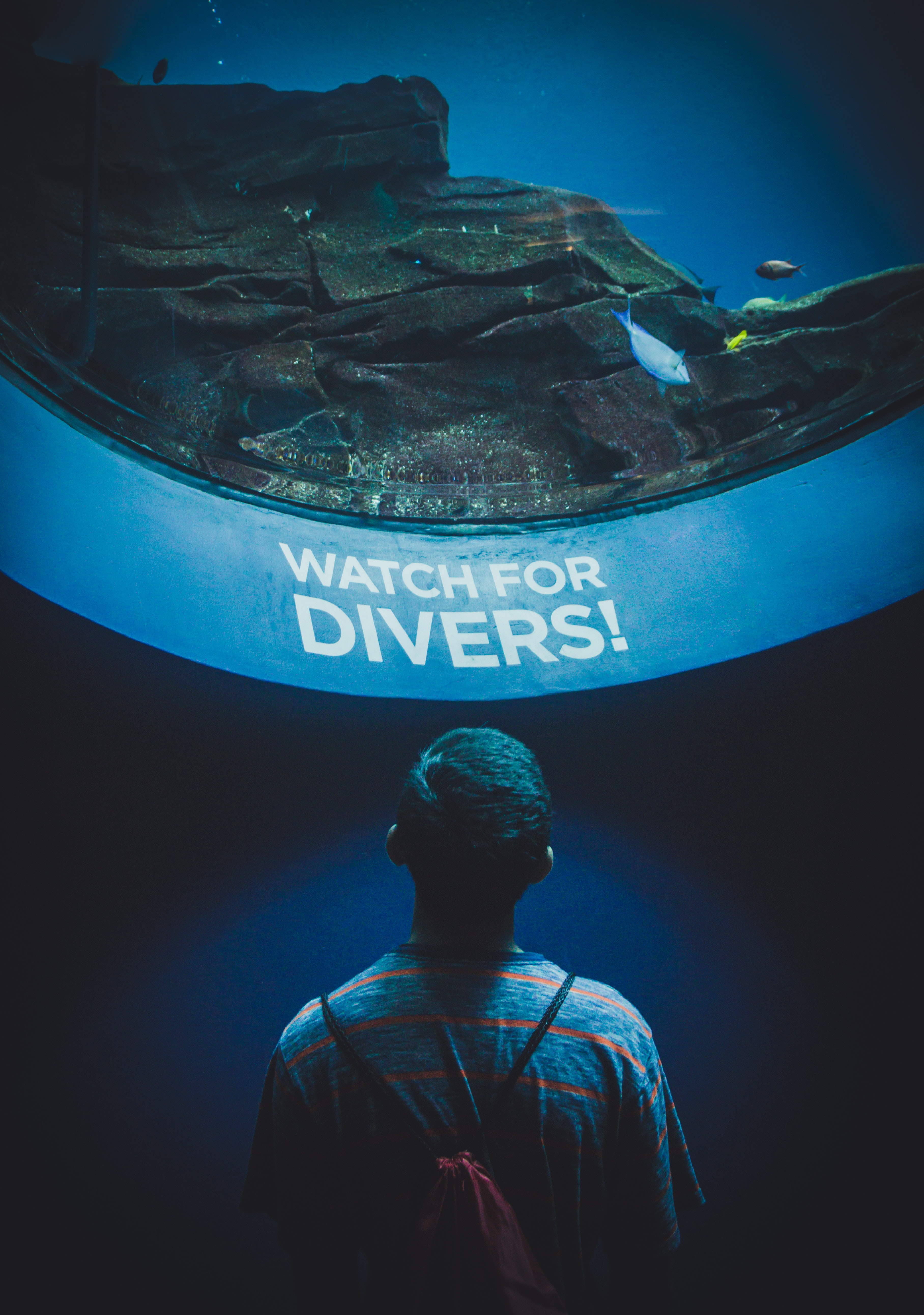 A person watching for fishes through a round aquarium window