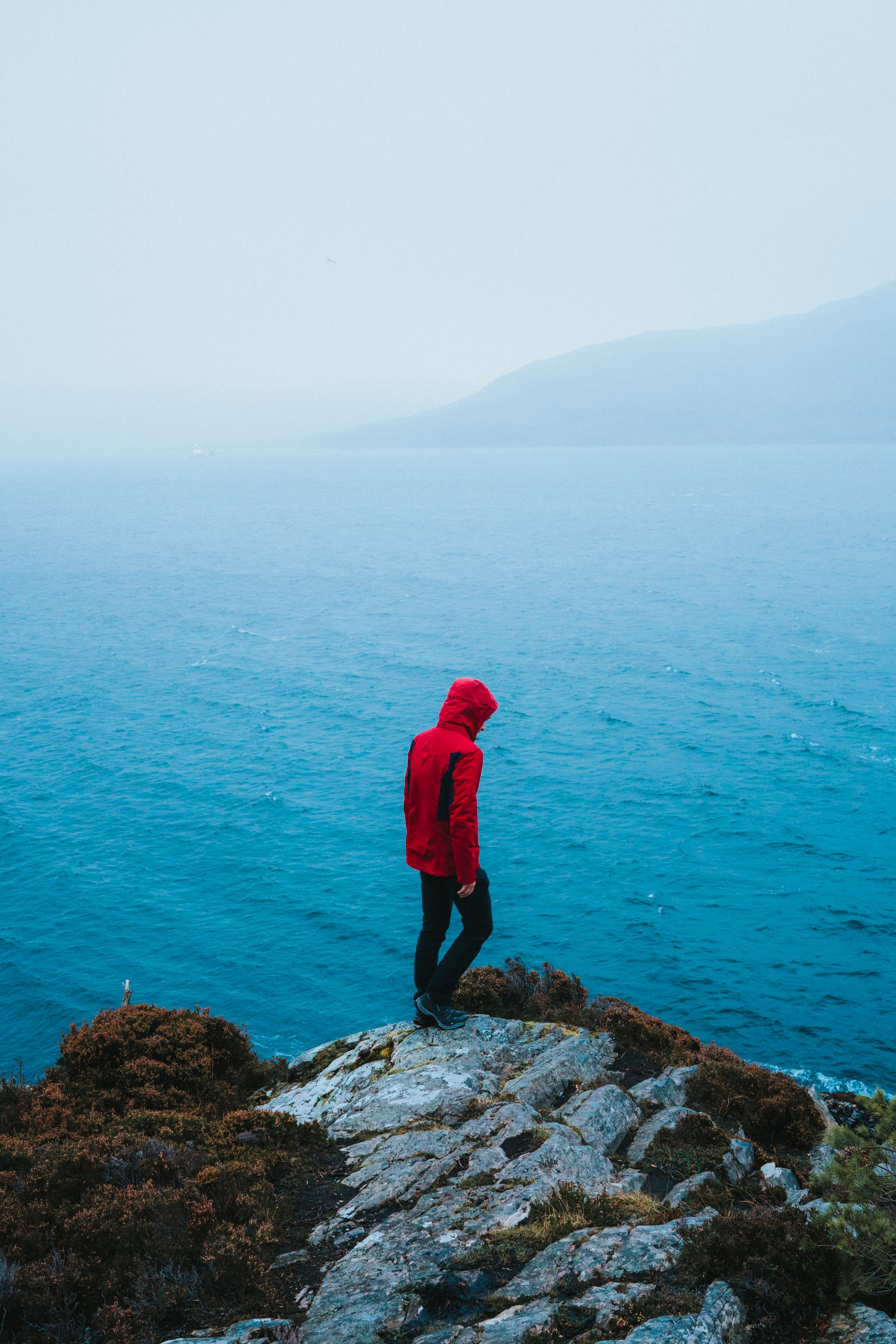 A person wearing a red jacket standing on a cliff by the water