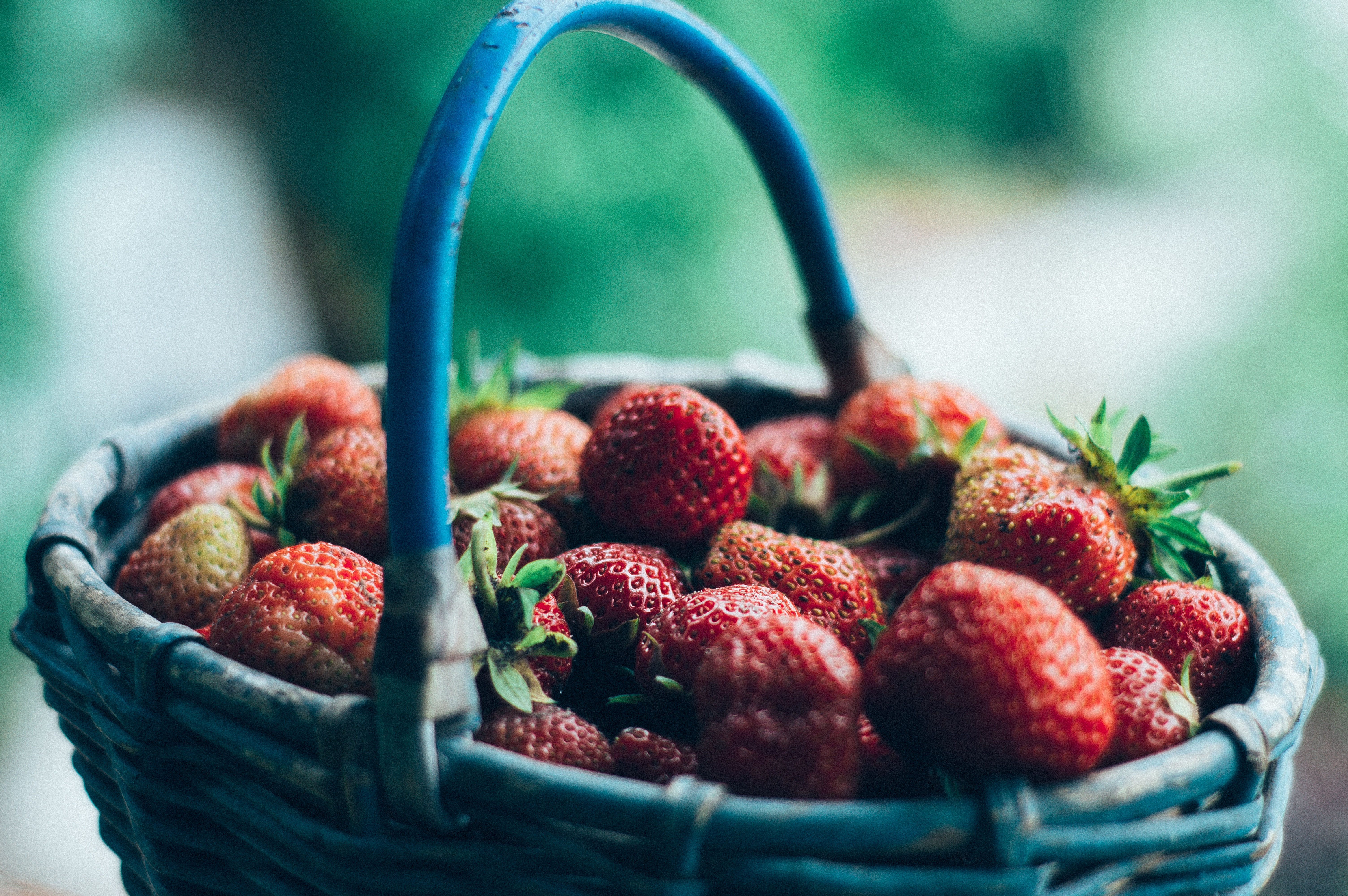 Close-up photography of a basket filled with strawberries
