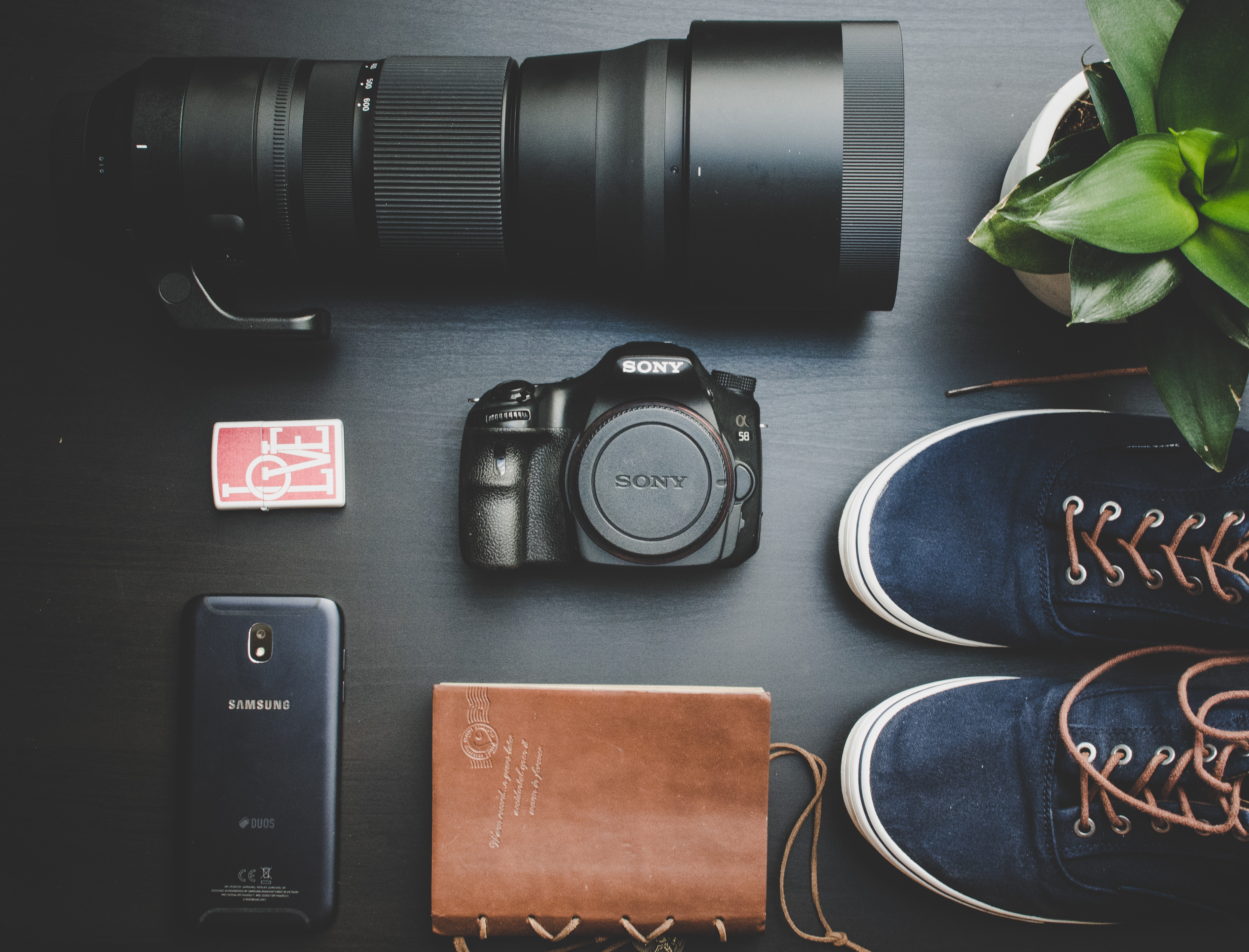 Flat lay photography of shoes near a camera and plant
