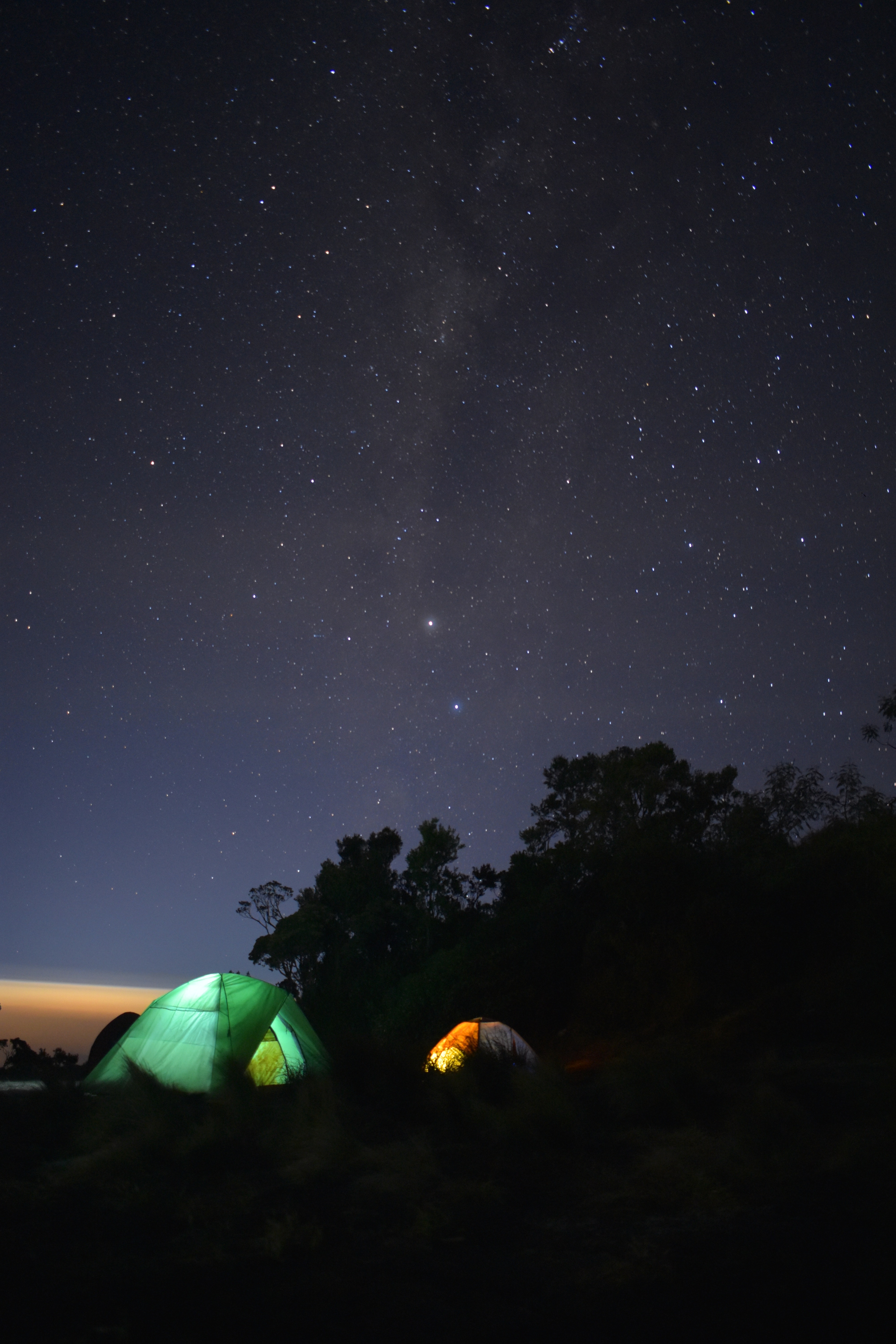 Green and orange dome tents surrounded by trees under a night sky