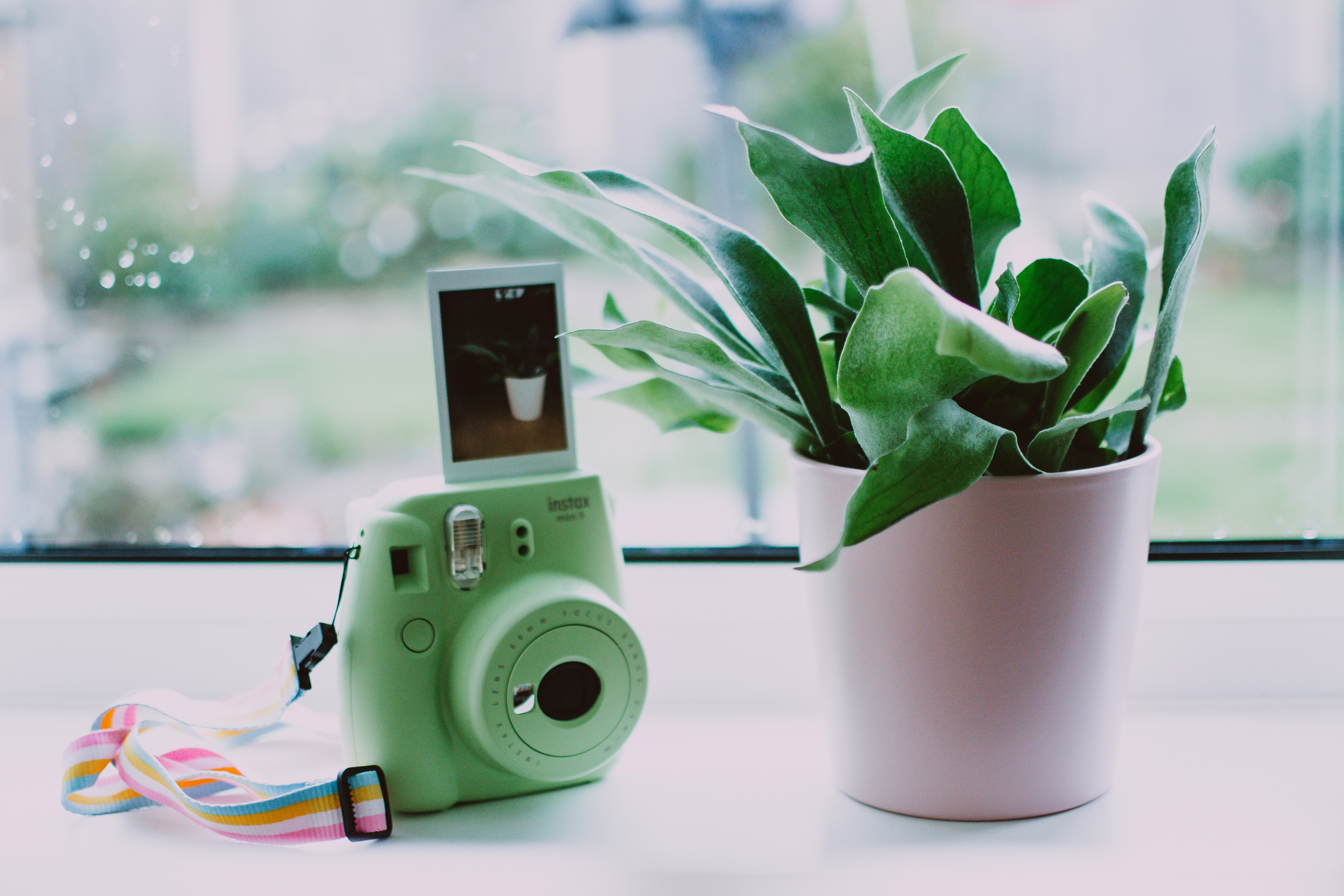 Green instant camera standing on a windowsill next to a pot plant