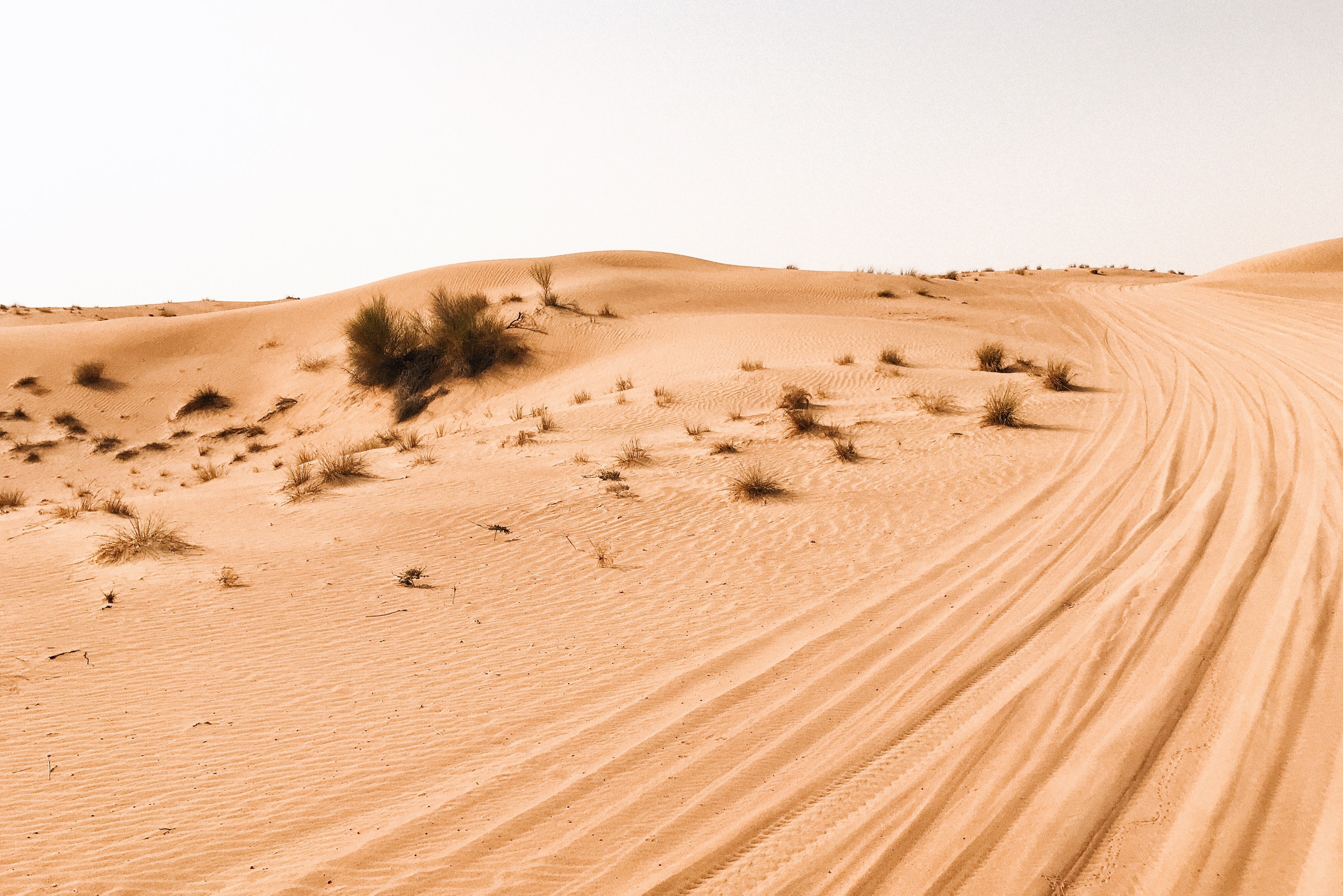Landscape photography of desert