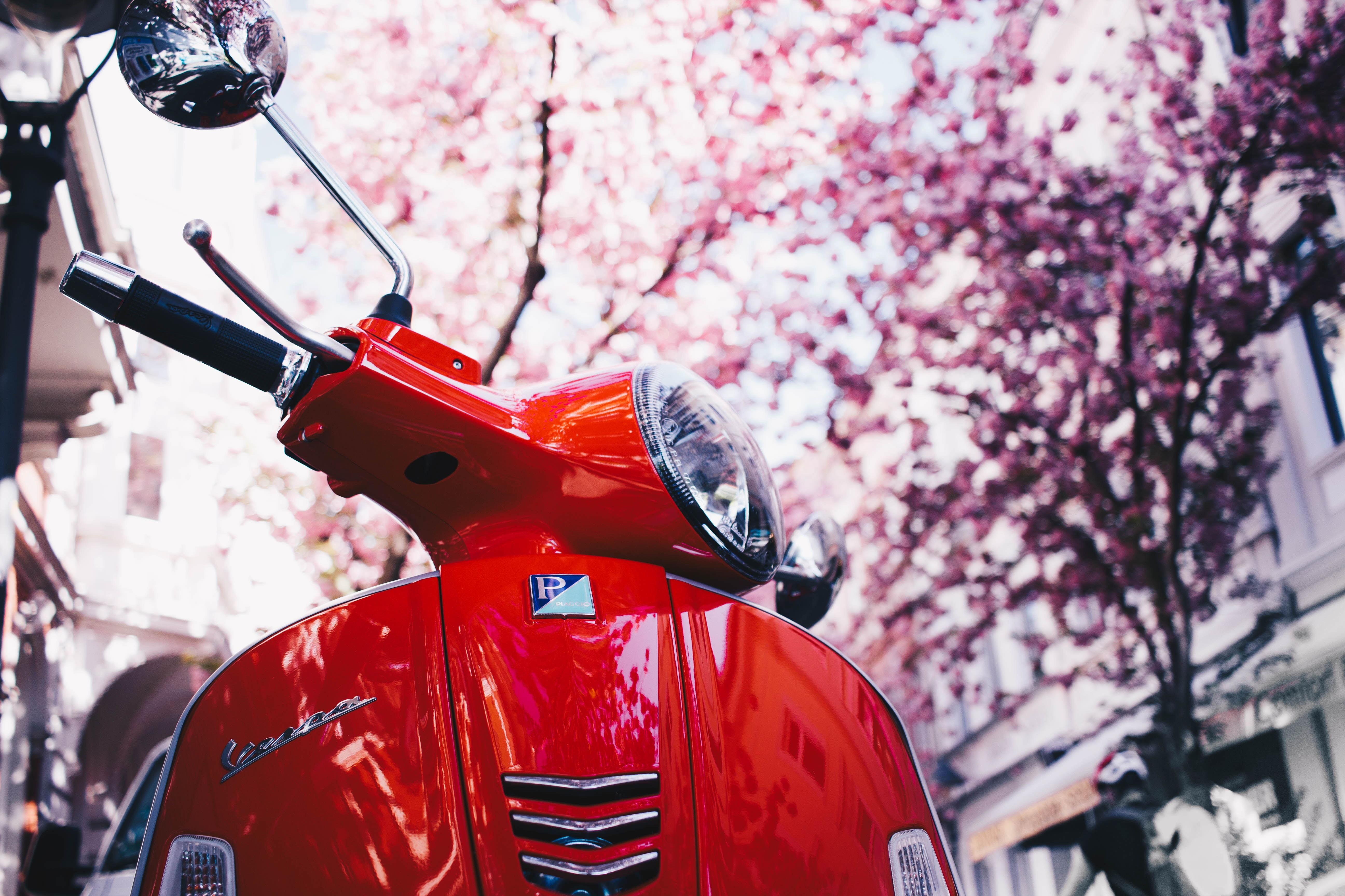 Selective focus photography of a red motor scooter under blooming trees