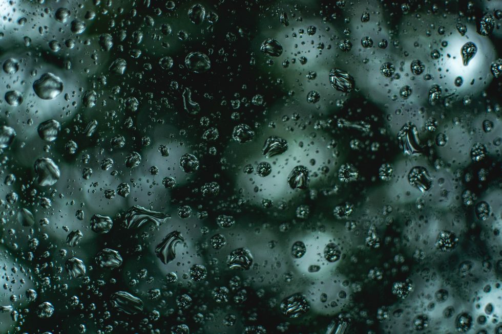 Shallow focus photography of water droplets