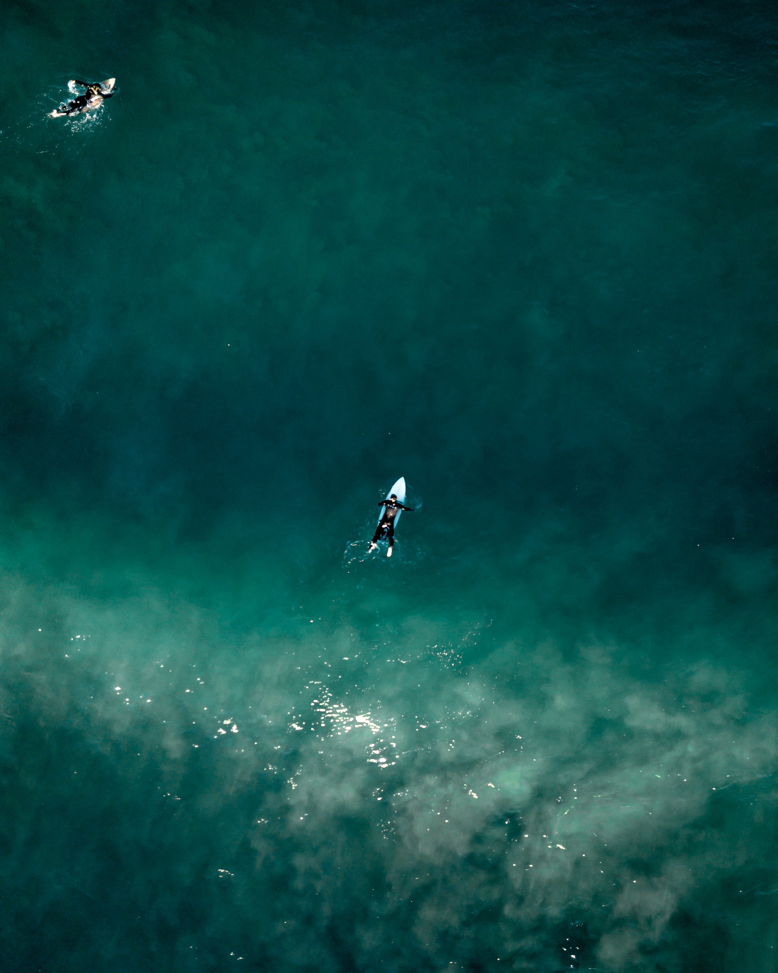 Aerial photo of people swimming on surfboards