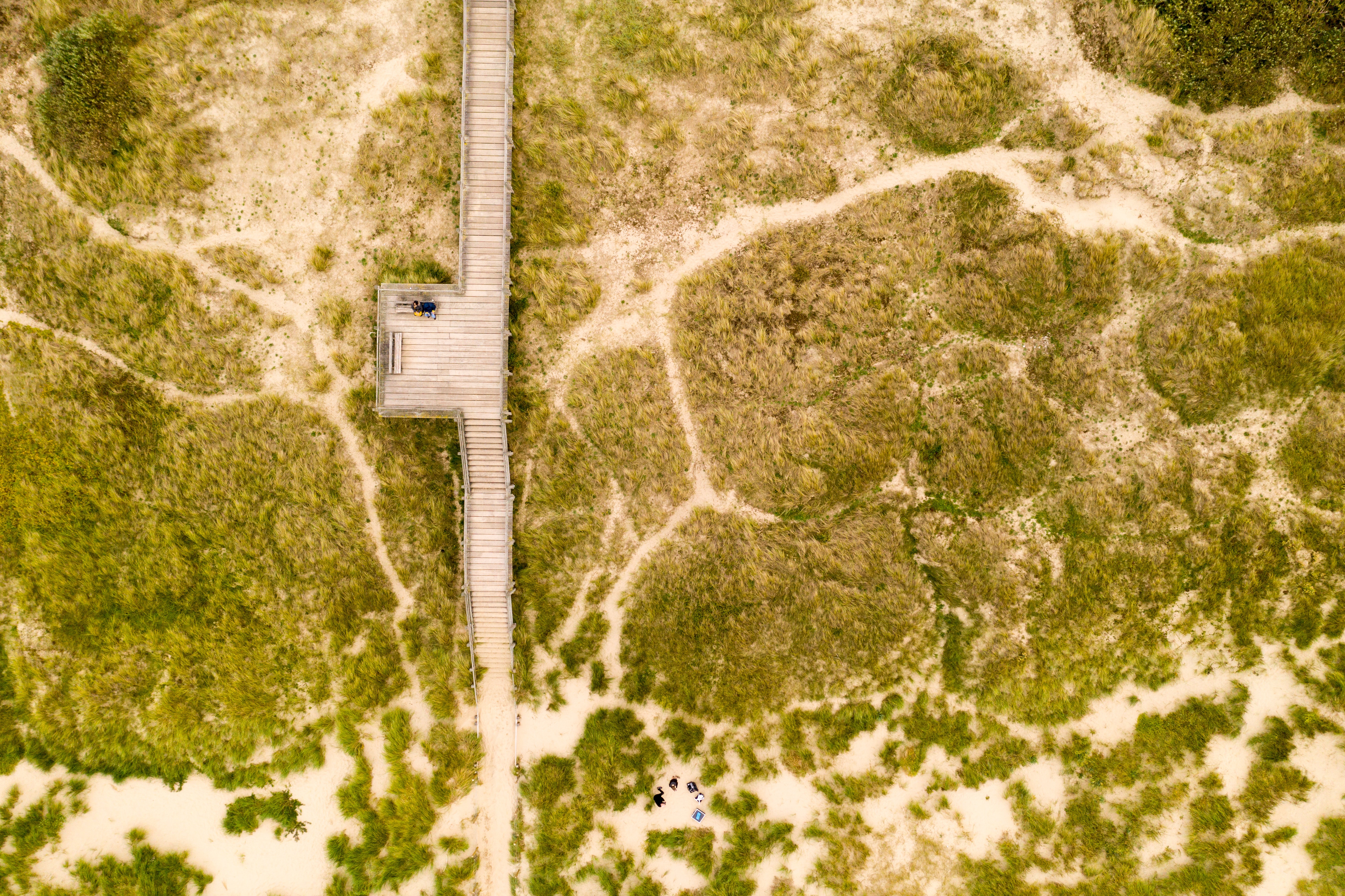 Aerial photography of a boardwalk among green grass
