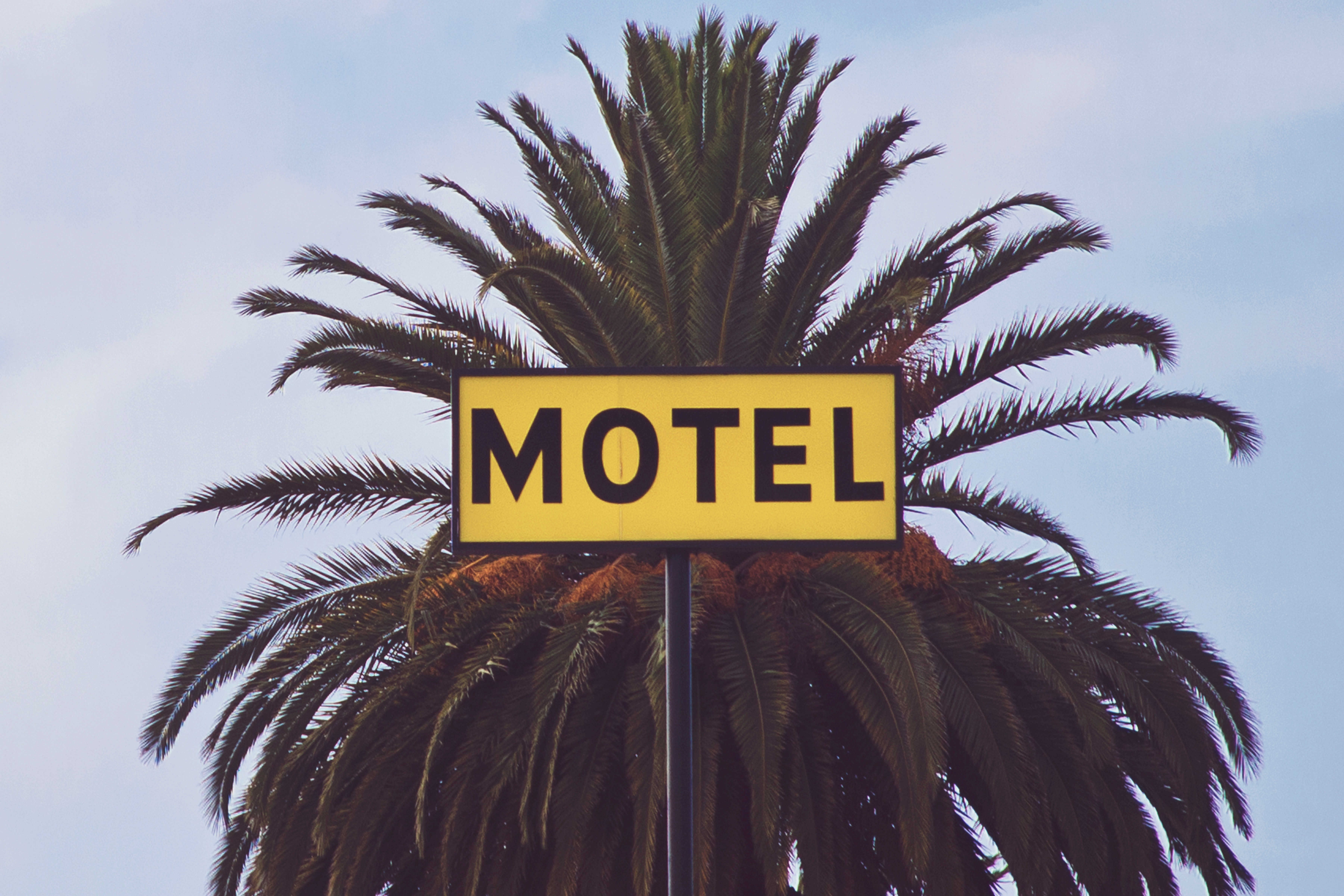 A motel sign in front of a palm tree