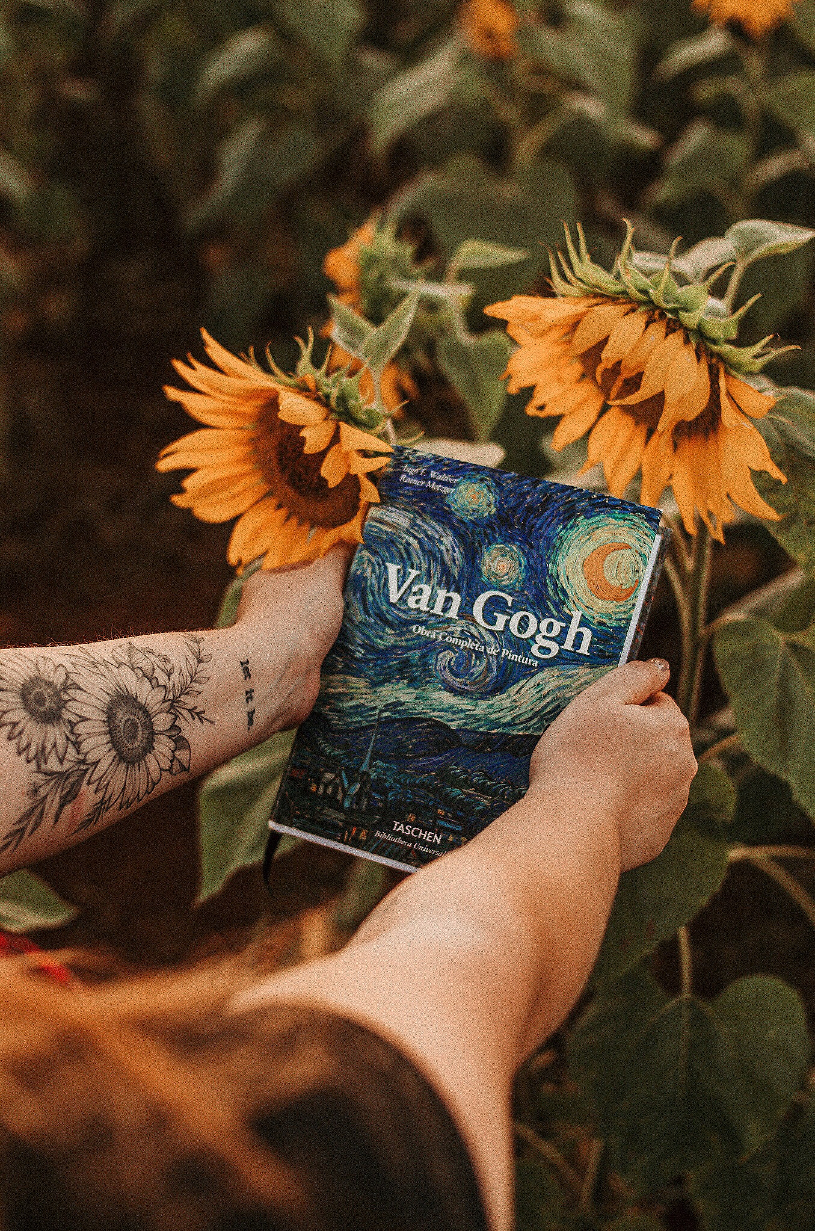 A person holding a Van Gogh book beside sunflowers