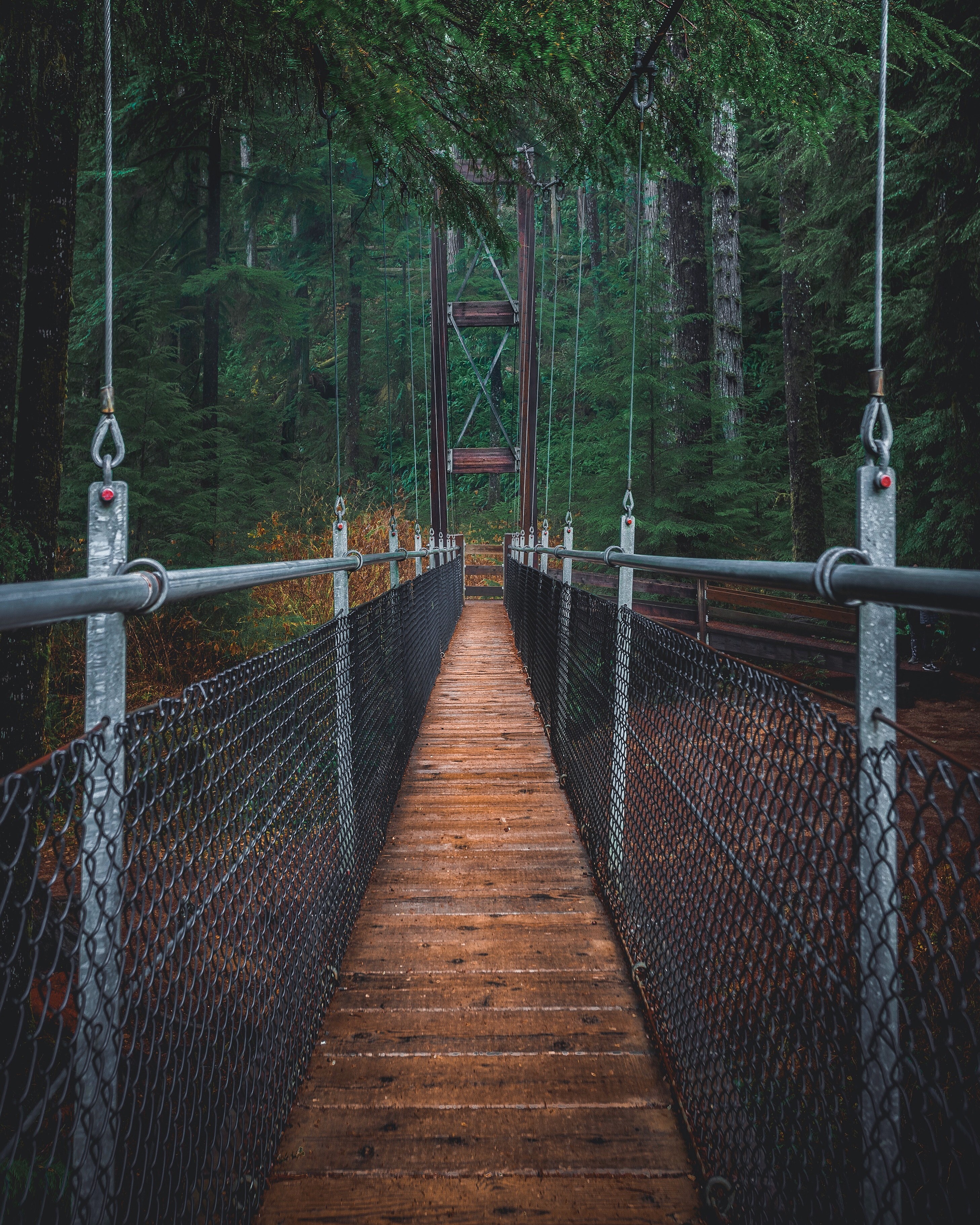 A suspension footbridge