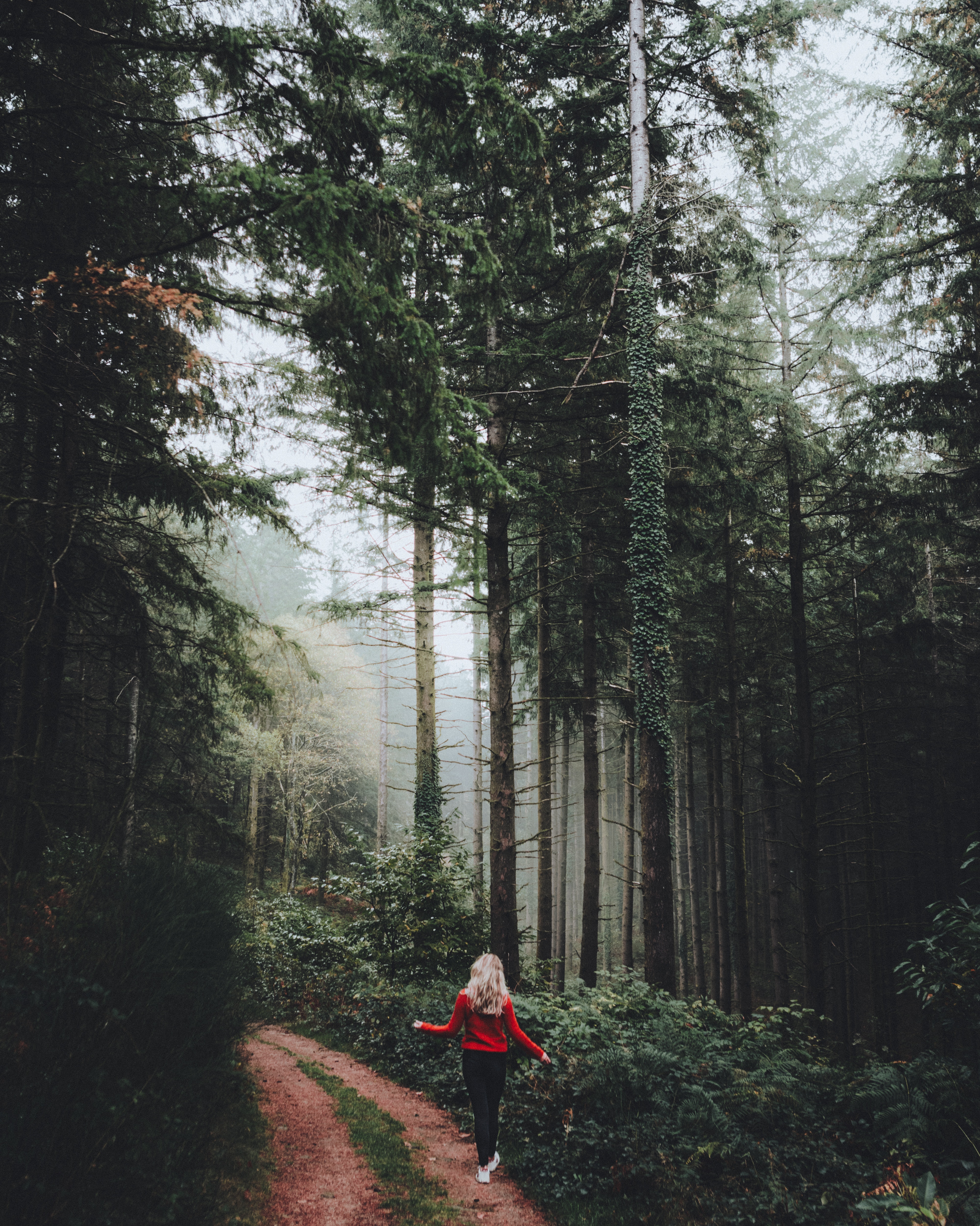 A woman in a red sweater walking along a pathway in a foggy forest