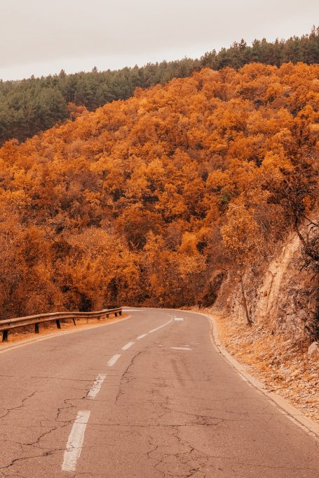 Asphalt road along the autumn forest on a hill