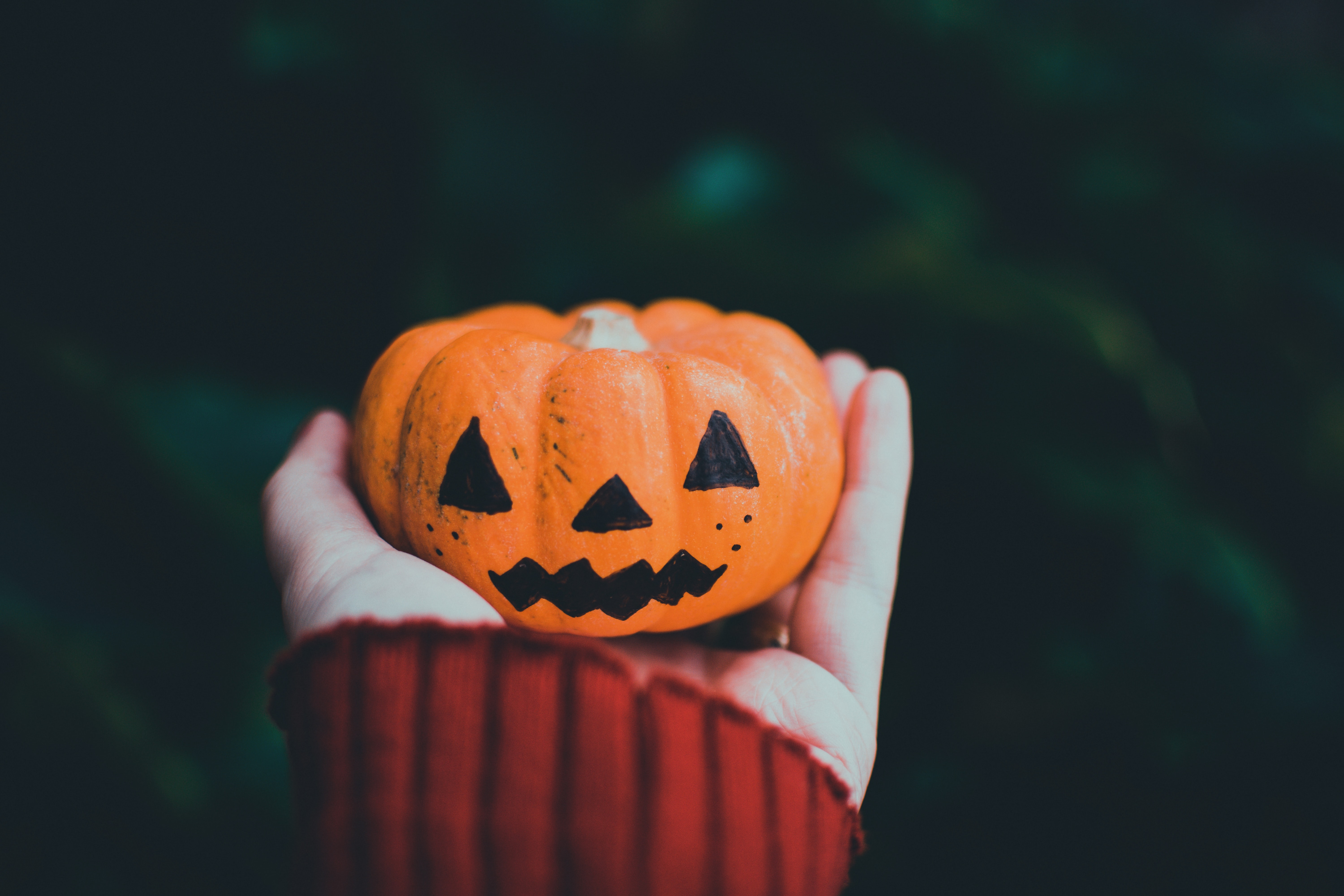 Photo of a person holding a Halloween pumpkin