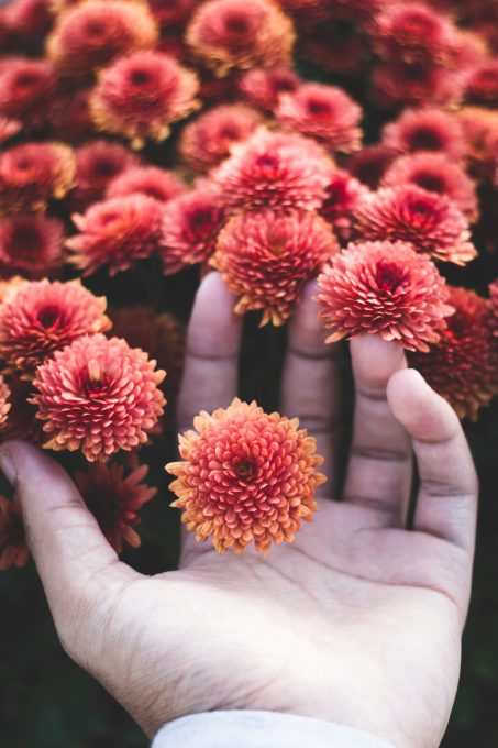 Photo of a person holding flowers