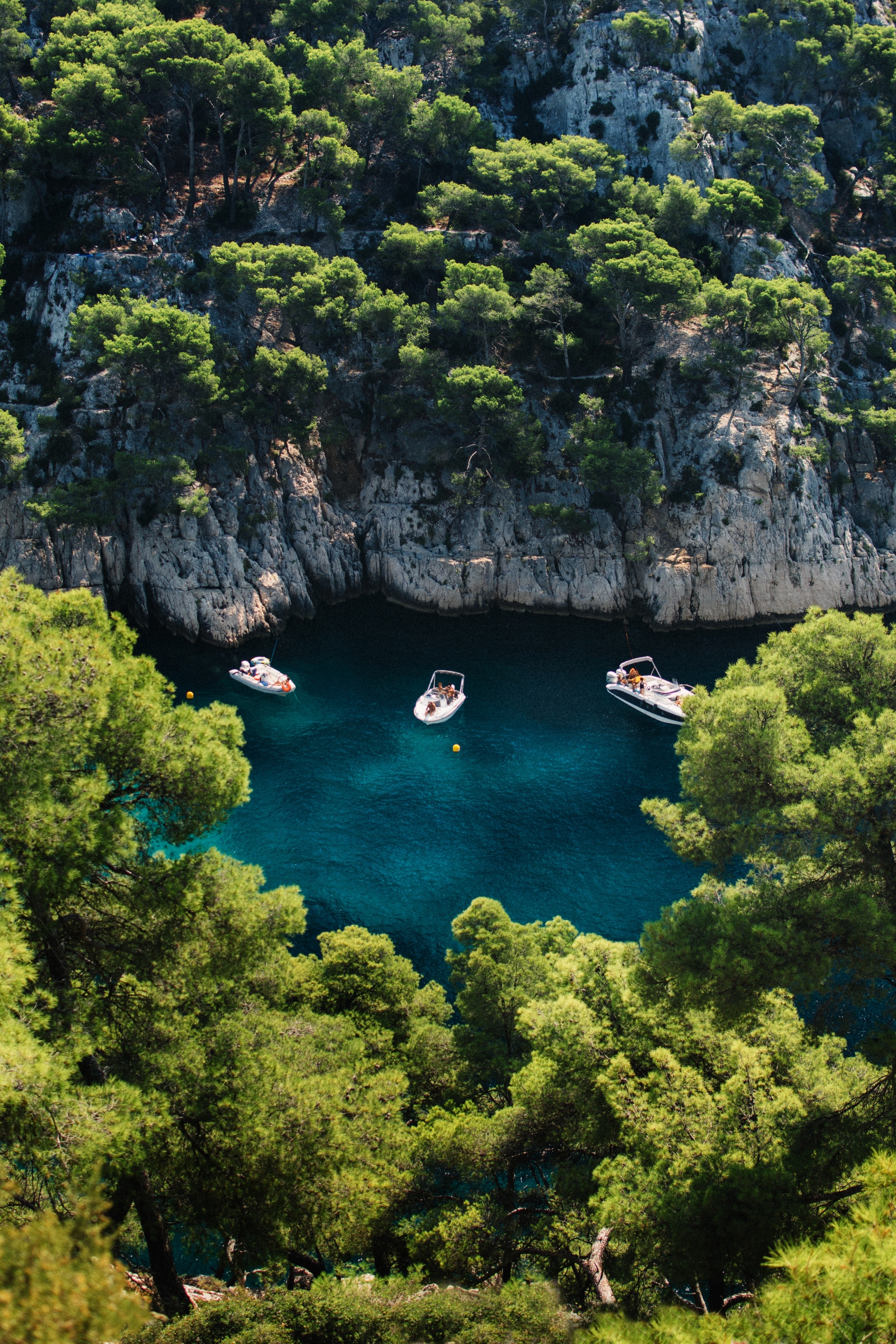 Aerial photo of speed boats at the middle of the sea surrounded by trees