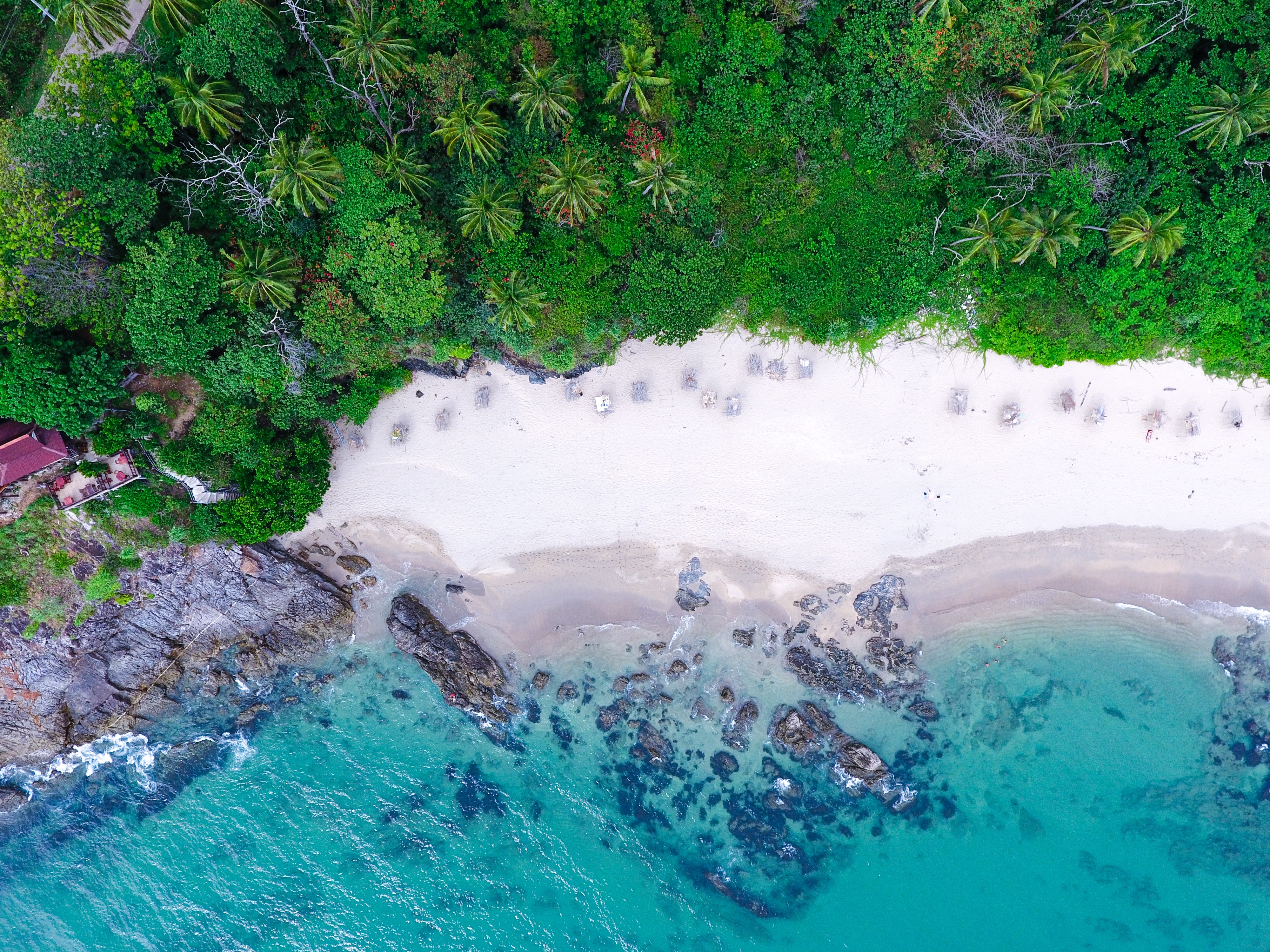 Aerial view of water hitting rocks on a seashore near trees