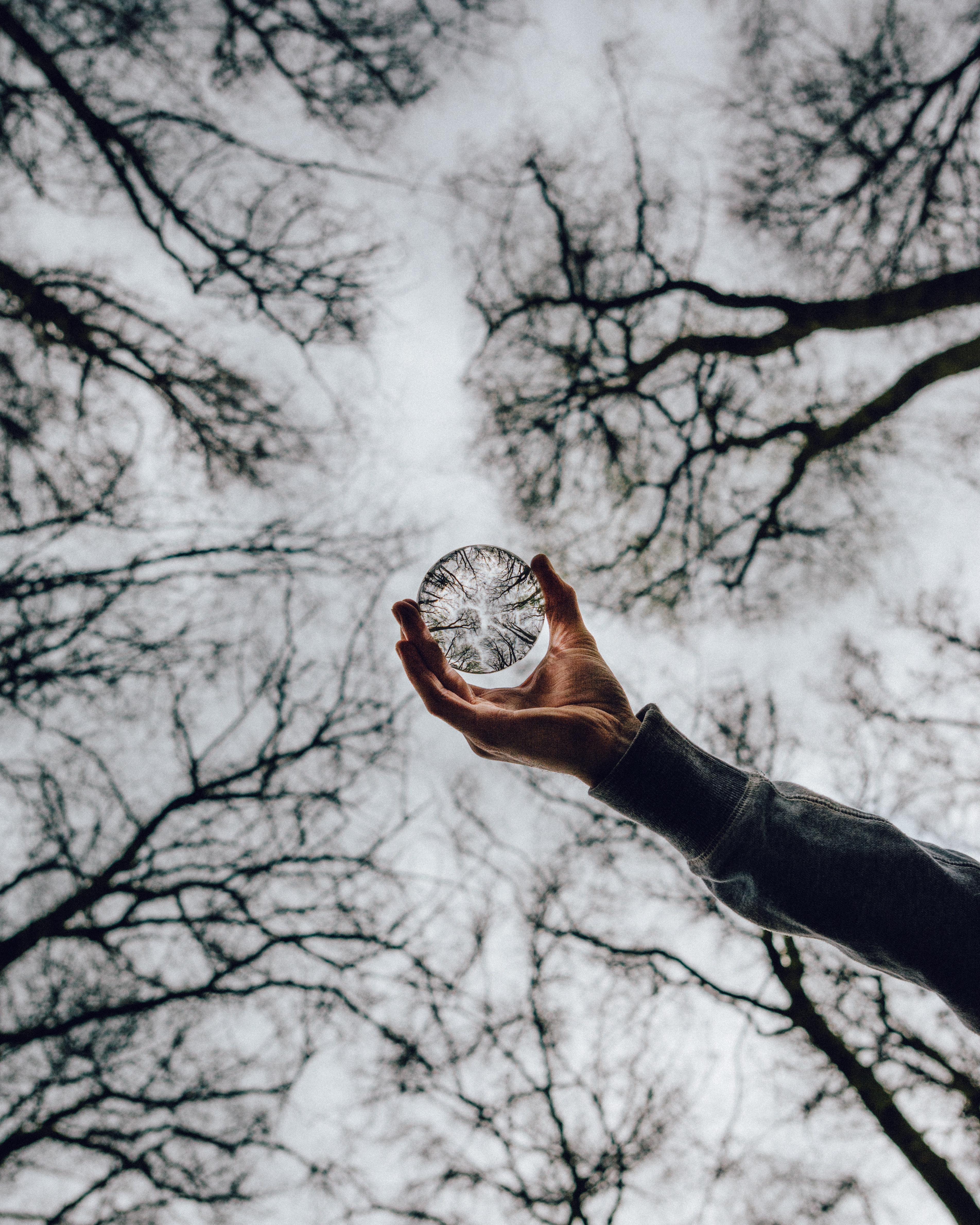 Low angle photo of a person holding a crystal ball