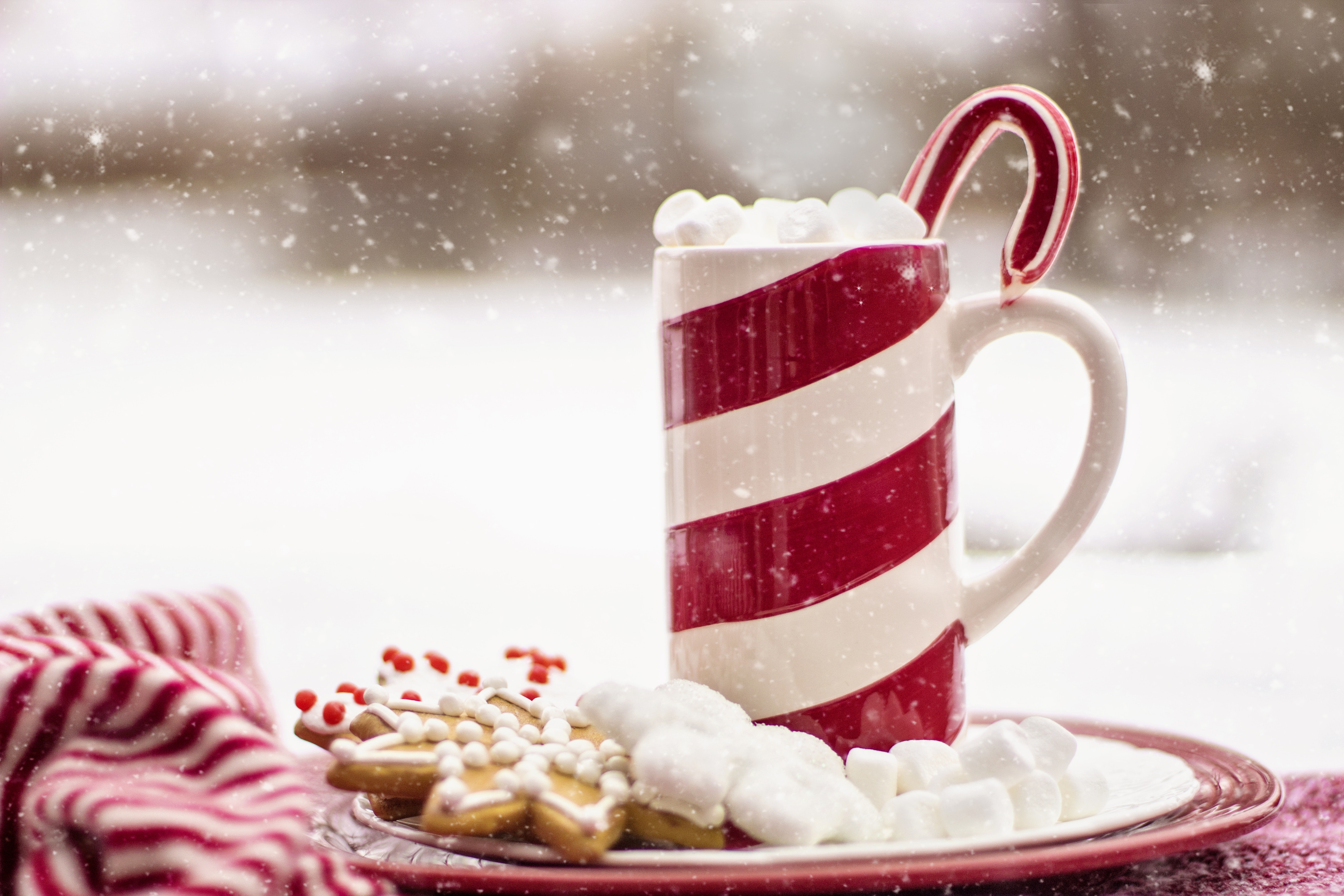 Snow falling on a mug with marshmallows and Christmas cookies on a plate