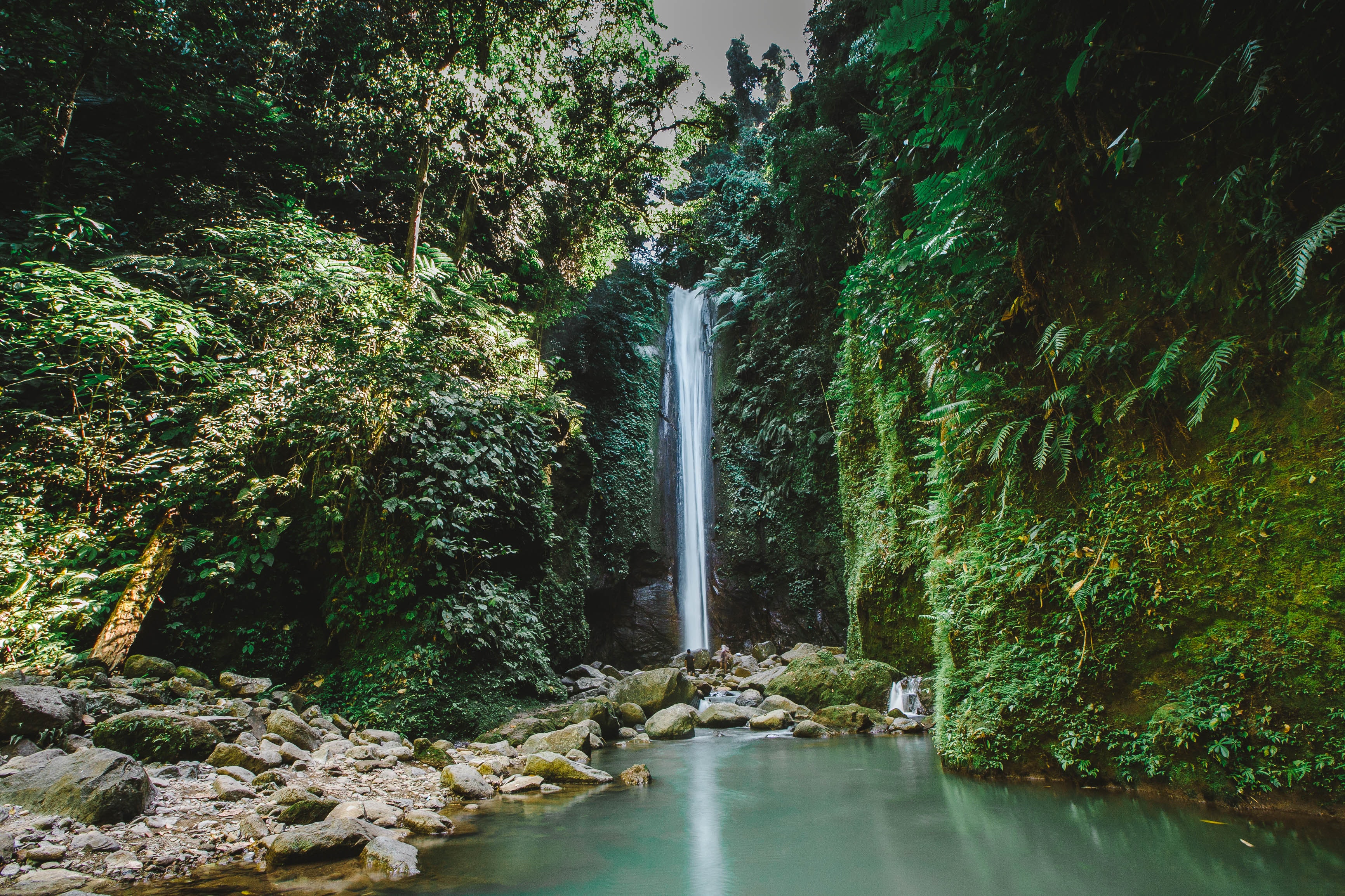Waterfalls near green-leafed trees