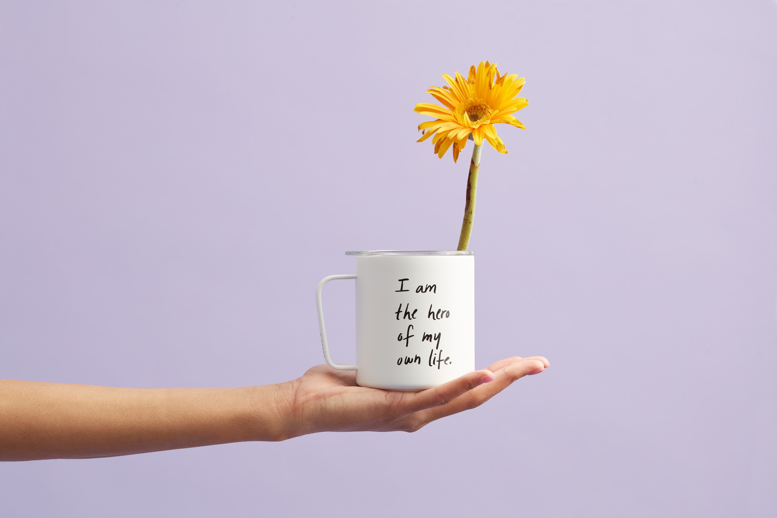 A yellow petaled flower in a white mug in front of a purple wall