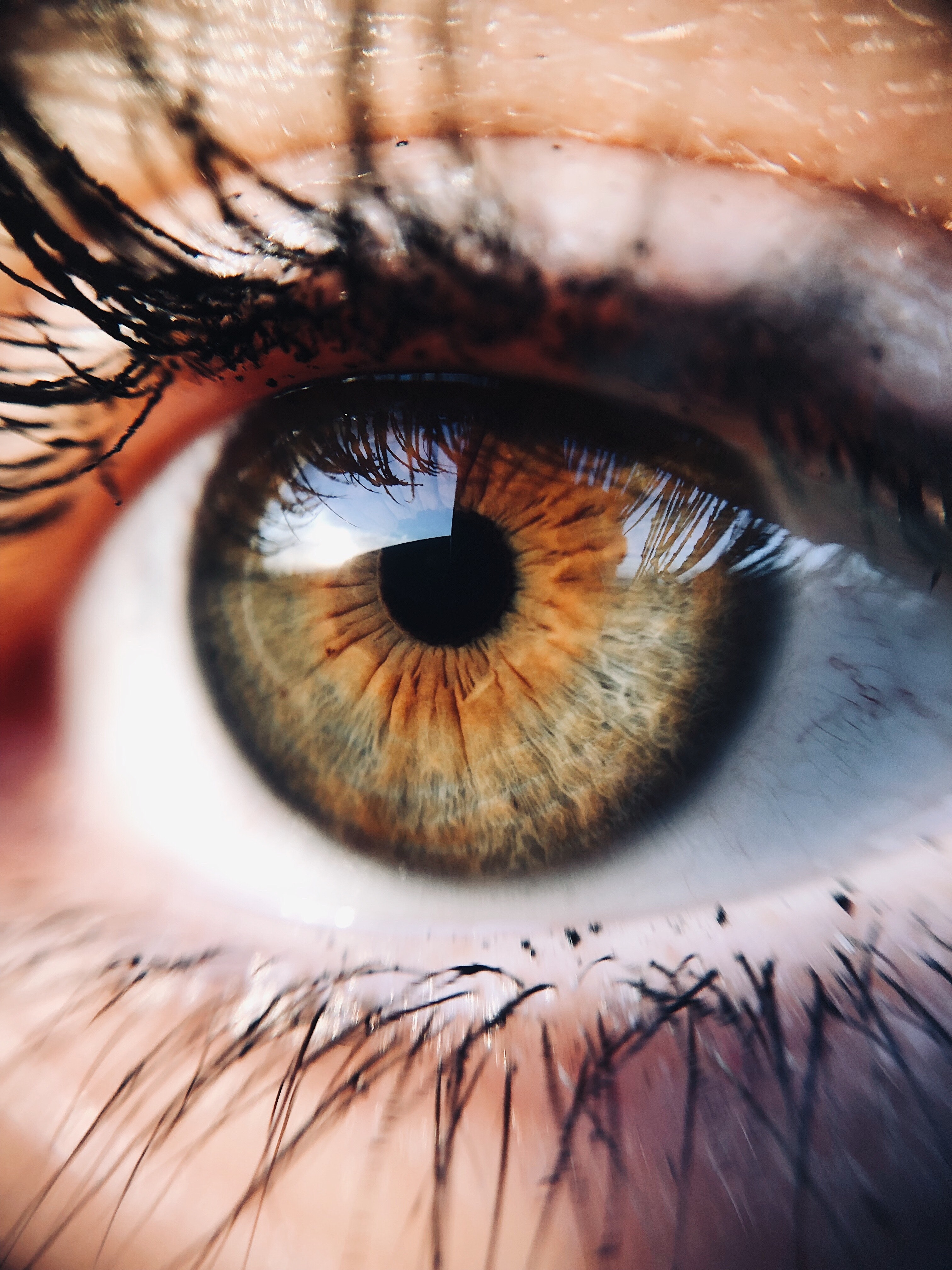 Close-up photo of a human eye