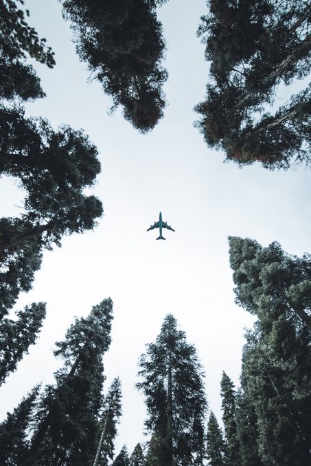 Low-angle photo of an airplane
