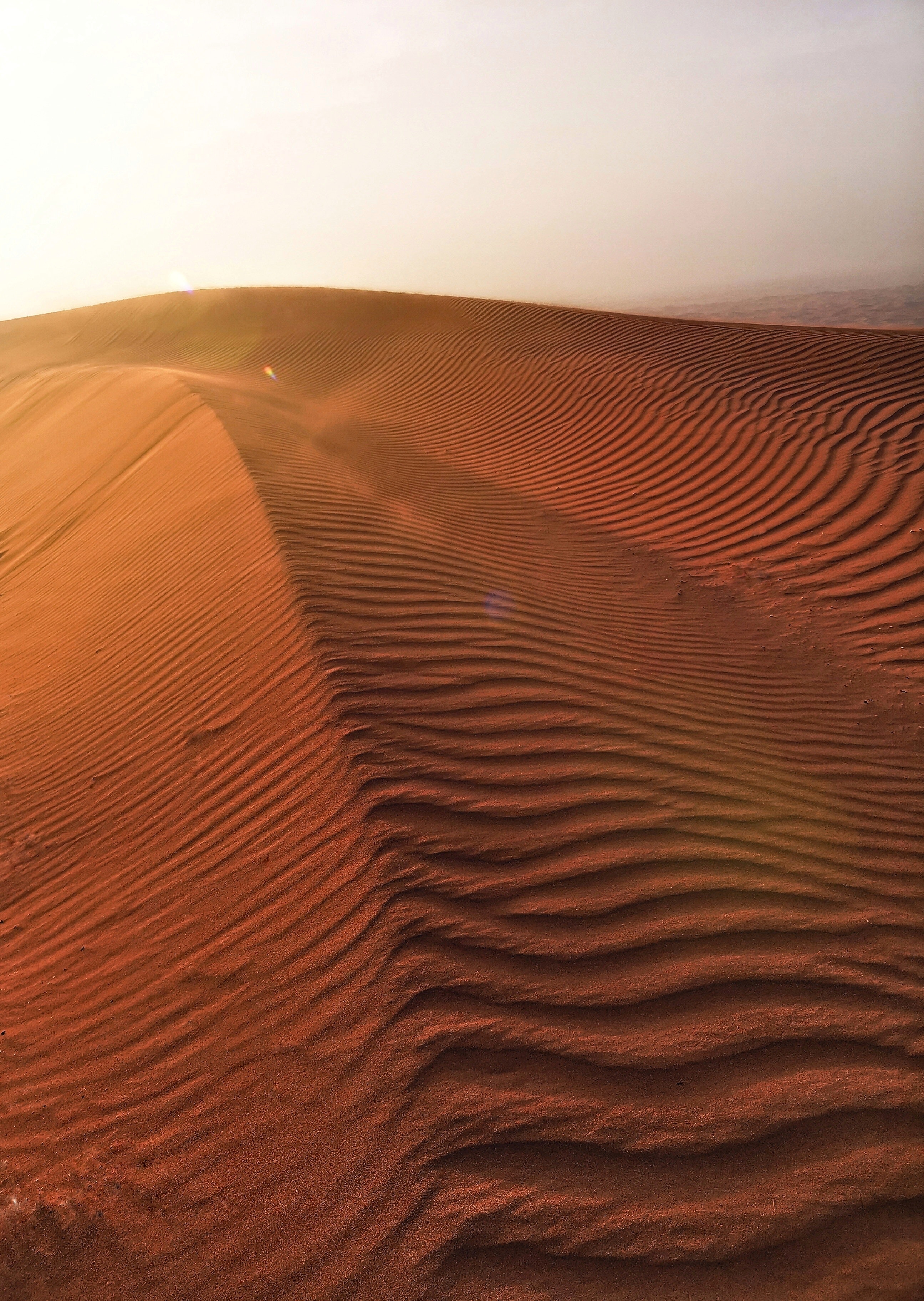 Photo of a desert