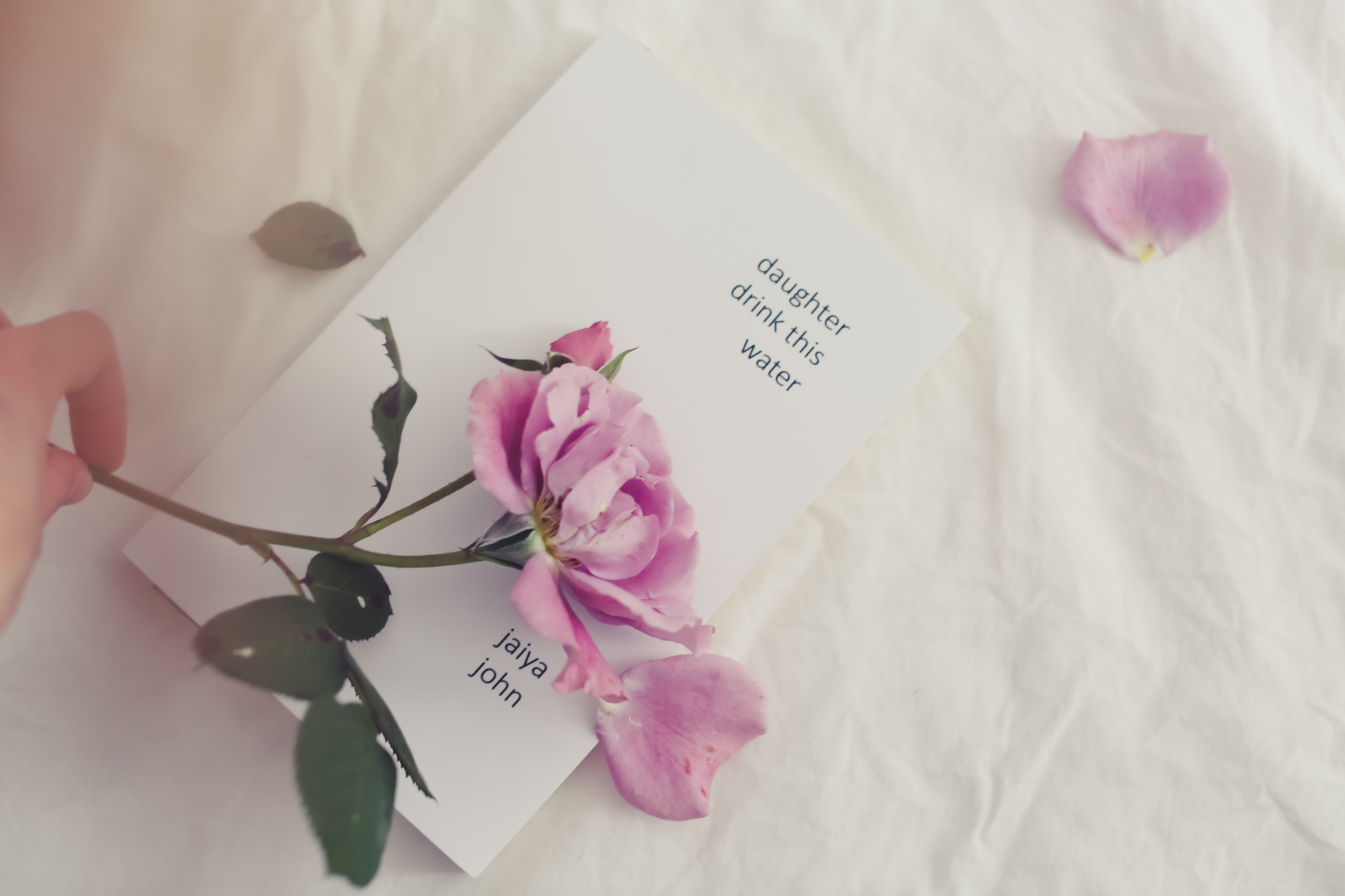 Photo of a book with a pink flower and a hand