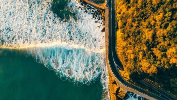 A bird's eye view of the ocean, a road, and trees