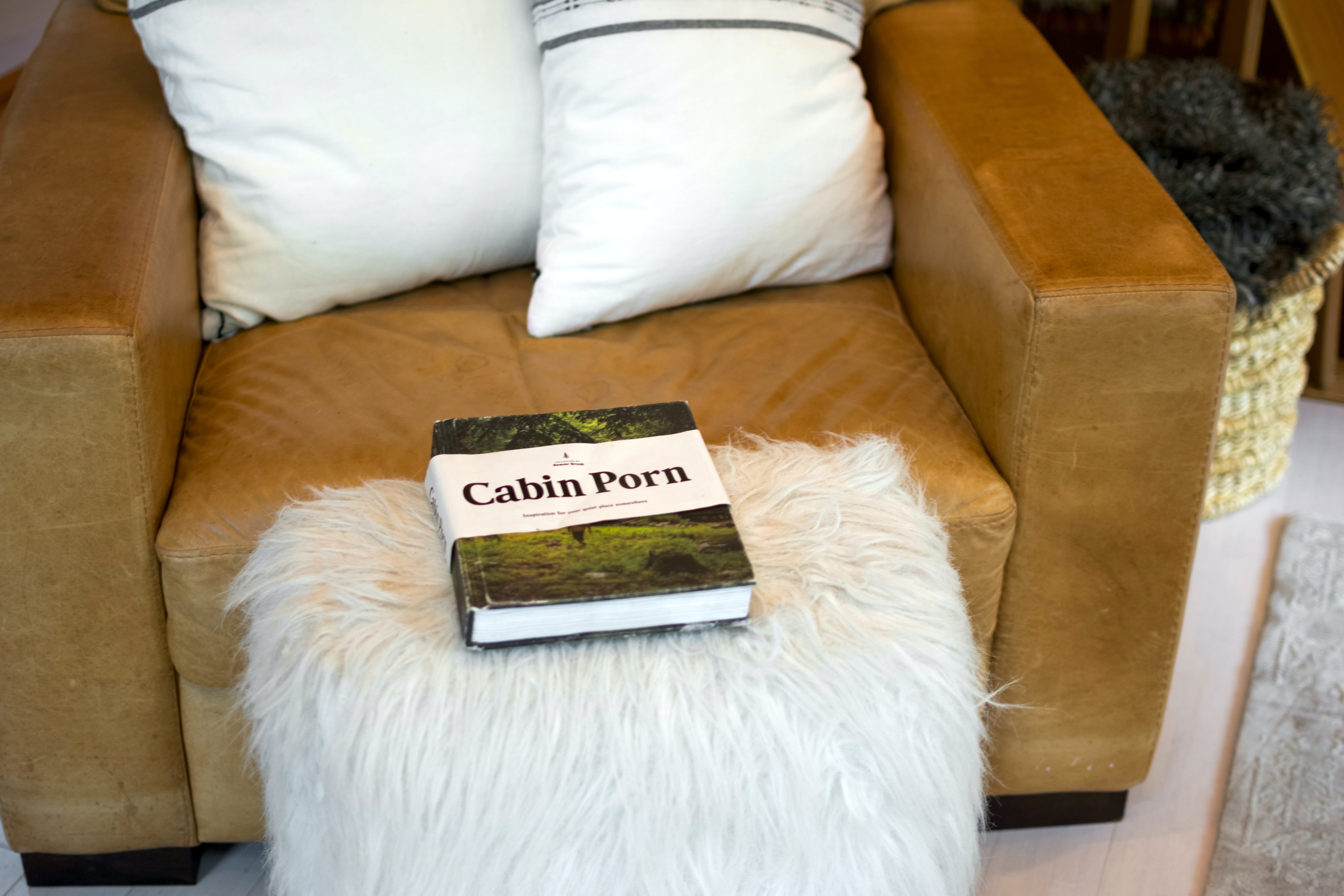 A brown chair and a book on a furry chair